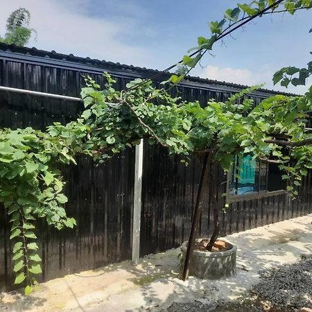 บ้านสวนปวิชญา เกษตรอินทรี Fang Екстериор снимка
