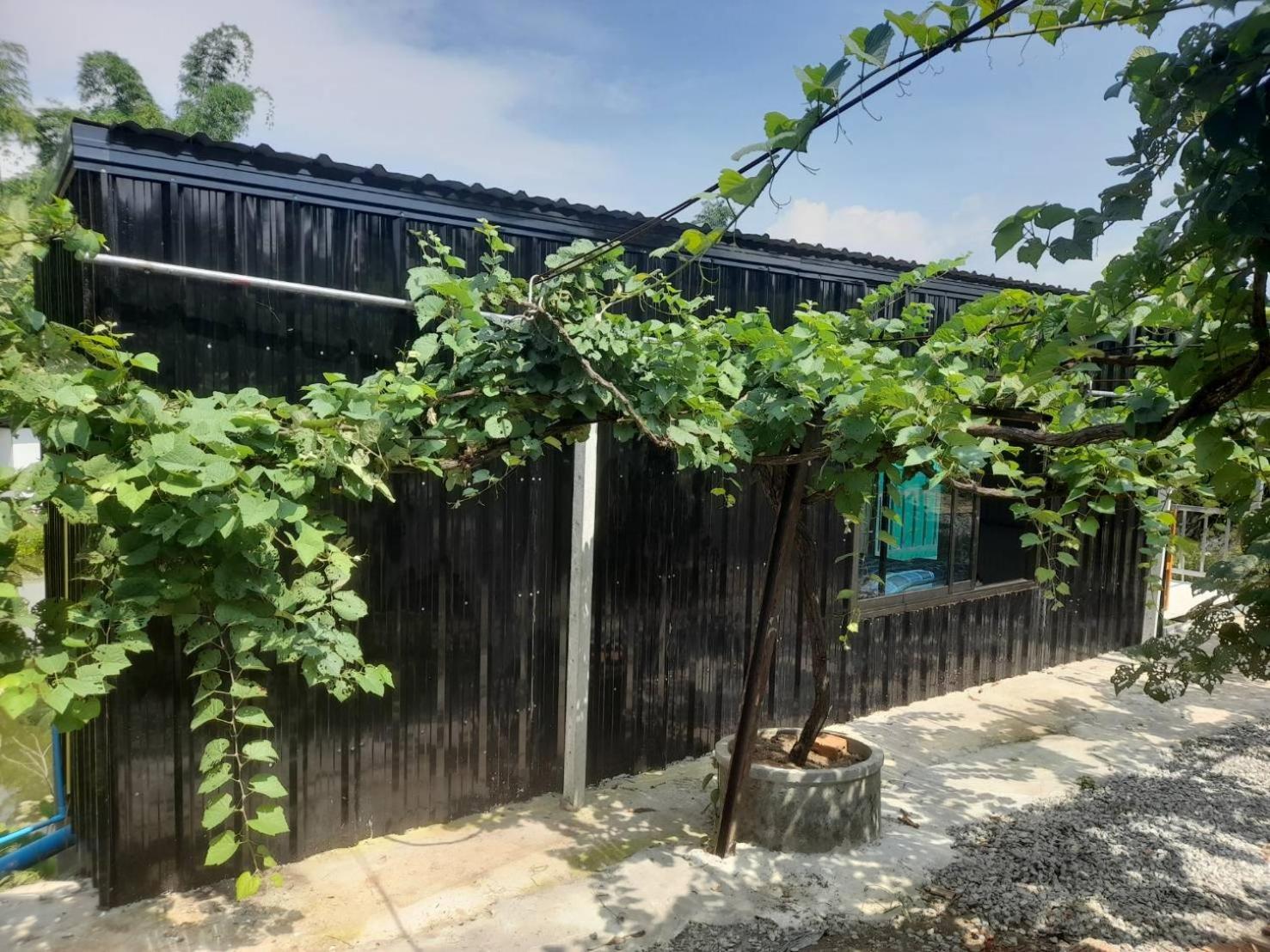 บ้านสวนปวิชญา เกษตรอินทรี Fang Екстериор снимка
